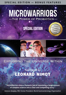 Microwarriors DVD SE cover